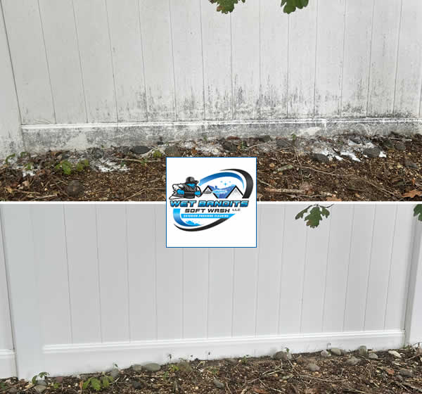 Deck and Fence Cleaning